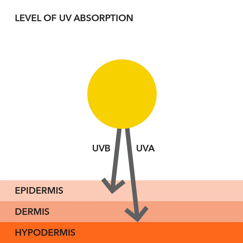 All-Physical Lightweight Wrinkle Defense Spf 30