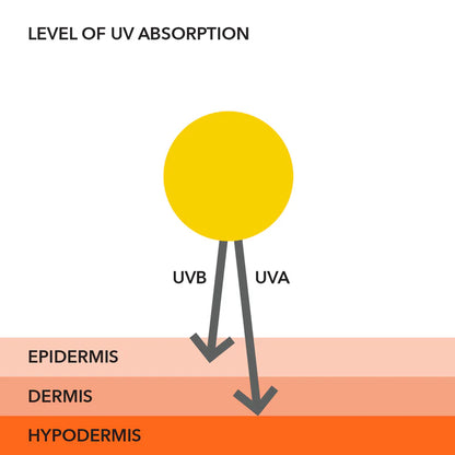 All-Physical Lightweight Wrinkle Defense Spf 30